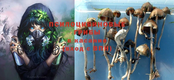 МДПВ Абдулино