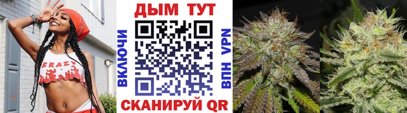 Бошки Шишки планчик Абинск